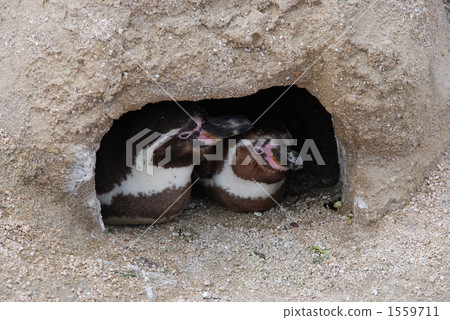 A long time ago A long time ago 1559711