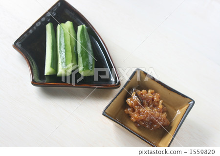 摩洛老 摩洛老 1559820