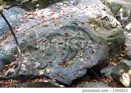 吳哥遺址之旅 1560021