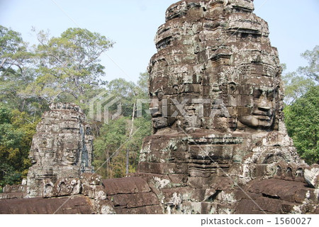 bayon, february, jungle 1560027