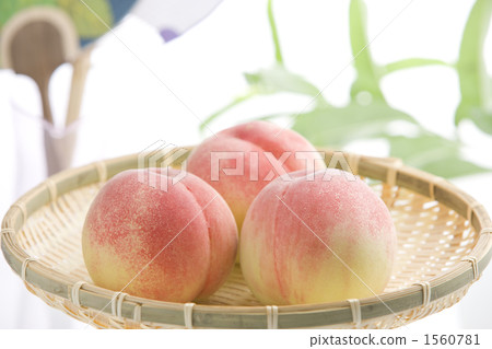 夏天的形象 夏天的形象 1560781