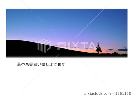 甚至在夏天的聖誕樹 1561158