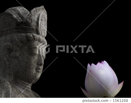 觀音和蓮花 1561208
