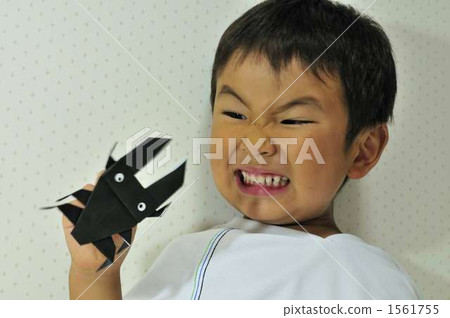 Stag beetle Stag beetle 1561755