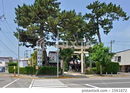 Walk for Sakata · Yakumo Shrine 1561872