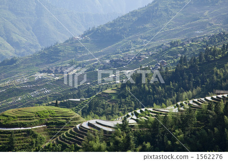Ryūgoku's rice terrace scenery Ryūgoku's rice terrace scenery 1562276