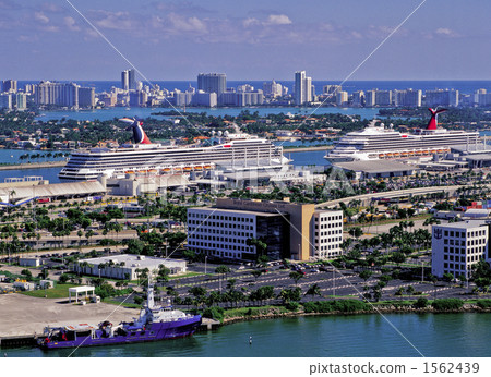 Bayside市場 1562439