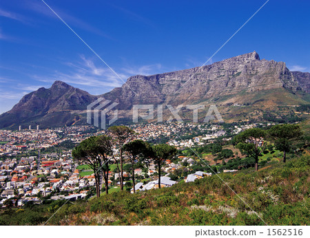 開普敦和桌山的城市景觀 1562516