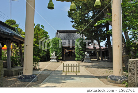 Walk for Sakata · Yakumo Shrine 1562761