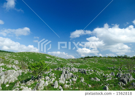 秋吉台 特別天然紀念物 喀斯特高原 1562818