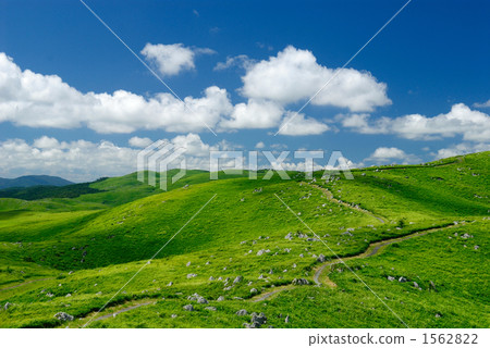 akiyoshidai quasi-national park, karst plateau, akiyoshidai 1562822