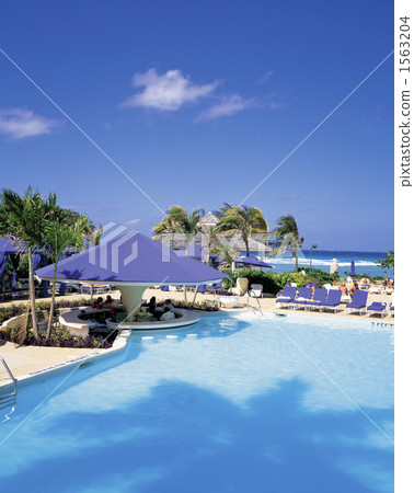 溫德姆度假村泳池 1563204