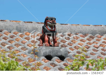 在紅瓦屋頂上的Shisa 1563437