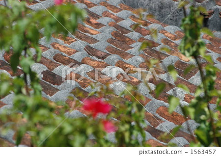 紅瓦屋頂 紅瓦屋頂 1563457