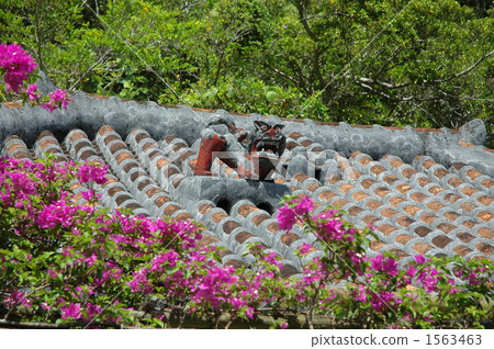 在紅瓦屋頂上的Shisa 1563463