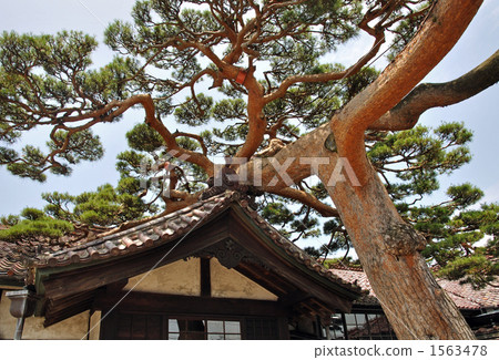 Walk walk Sakata · Honma Old house Walk walk Sakata · Honma Old house 1563478