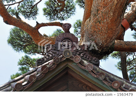 Walk walk Sakata · Honma Old house Walk walk Sakata · Honma Old house 1563479