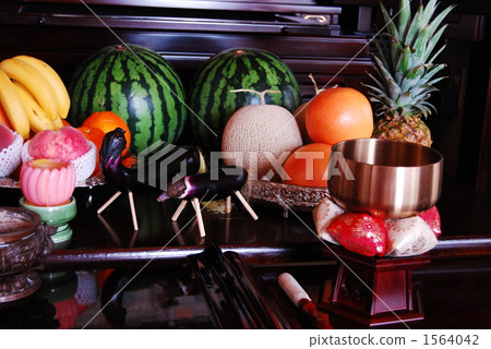 茄子 季節性活動 馬精神 1564042