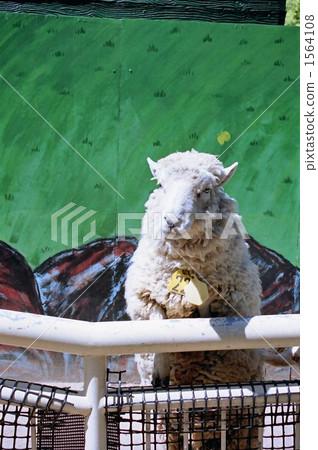 一隻小動物 等等 頭（牛的計數單位） 1564108