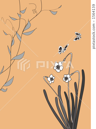 Narcissus black Narcissus black 1564139