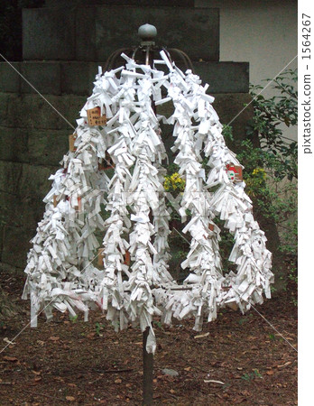 大禦二 大禦二 1564267