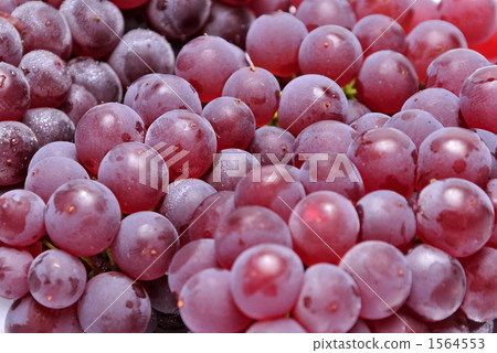 秋天的味道 1564553