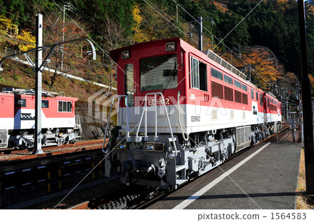 Ikawa Line Ikawa Line 1564583