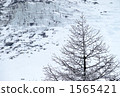 Mail · Glass Glacier 1565421