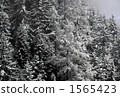 Mountain snow scenery 1565423