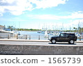 Driving · Yacht Harbor Driving · Yacht Harbor 1565739