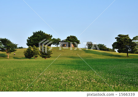 兒童和紀念碑跑上山場 1566339