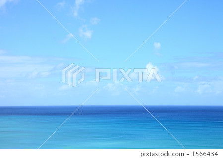 夏威夷海 夏威夷海 1566434