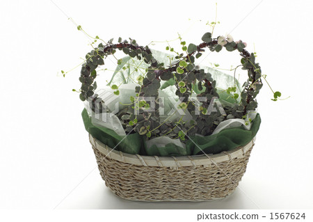 Heart Kazura Heart Kazura 1567624