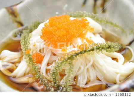 日本拉麵 海葡萄 中式料理 1568122