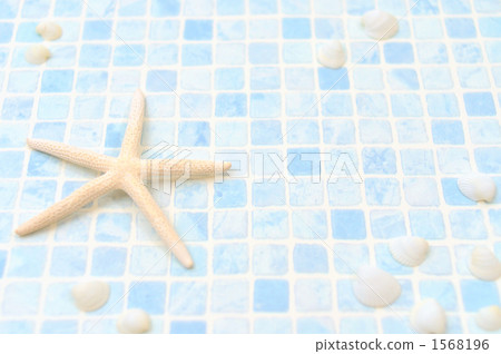 伯查德的小舟 殼 貝殼 1568196