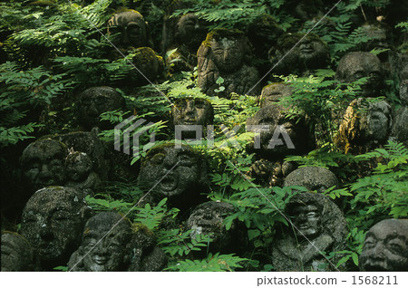 石佛像 草地 草 1568211
