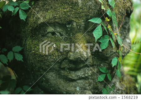 stone buddha, a stoic person, moss 1568219