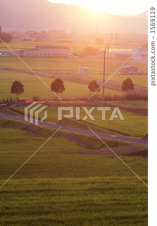 evening scene, setting sun, evening 1569119