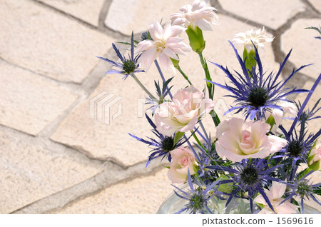 插花 1569616