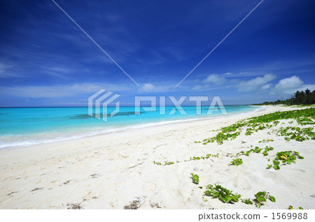 Okinawa Miyakojima Yonaha Maehama Beach Sand Beach 1569988