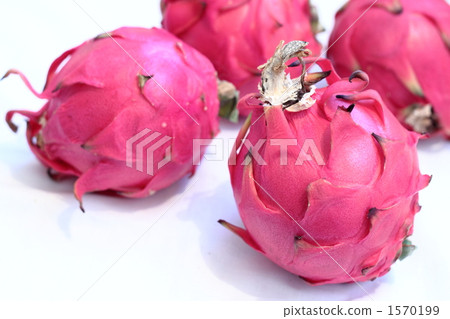 dragonfruit, dragon fruit, dessert 1570199