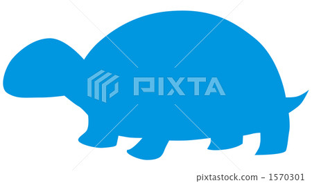 Illustration turtle 1570301