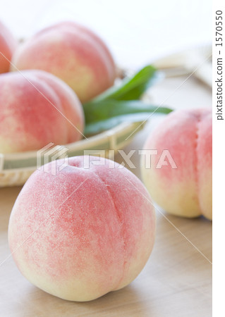 夏天的形象 夏天的形象 1570550