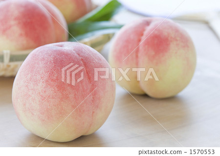 夏天的形象 夏天的形象 1570553