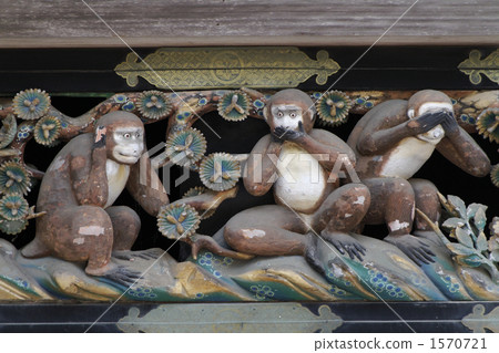 著名的猴子 著名的猴子 1570721