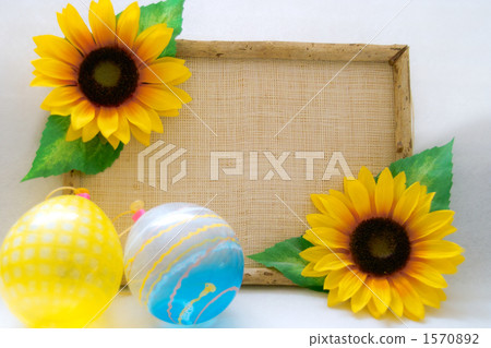 Sunflower board Sunflower board 1570892