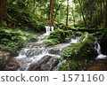 clear stream, mountain stream, Torii Gate 1571160