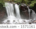 clear stream, mountain stream, Torii Gate 1571161