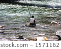 ayu fishing, fishing, pole 1571162