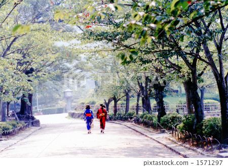 Summer of Maruyama Park 1571297